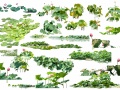 15套水生植物·乔木·鸟兽素材