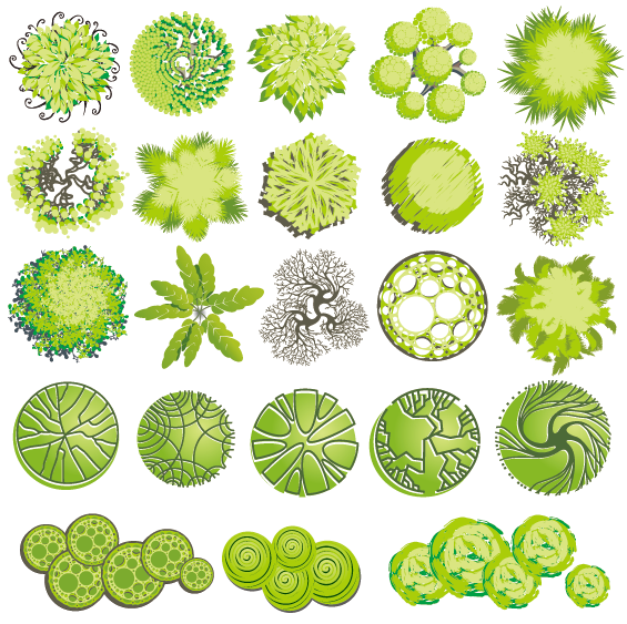 彩平室内植物素材资料下载-青春系彩平植物素材AI