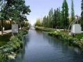河道整治降排水施工组织设计