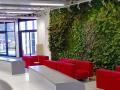 垂直绿化植物墙行业的薄弱环节有哪些