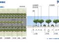 景观全套标准化内容-通用-车行路模块