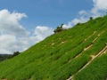 地基防护与加固方案