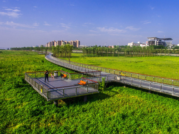 观景平台植物配置资料下载-长沙湘江江滩公园