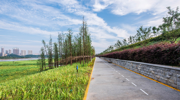 长沙湘江江滩公园-6-Marshland-Park-along-Xiangjiang-River-Changsha-by-LA-Design