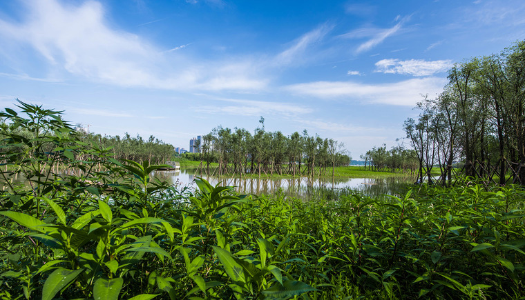 长沙湘江江滩公园-7-Marshland-Park-along-Xiangjiang-River-Changsha-by-LA-Design