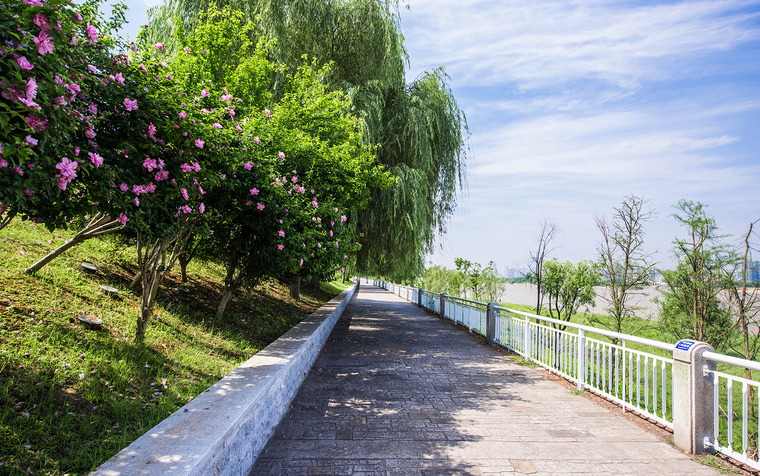 长沙湘江江滩公园-9-Marshland-Park-along-Xiangjiang-River-Changsha-by-LA-Design