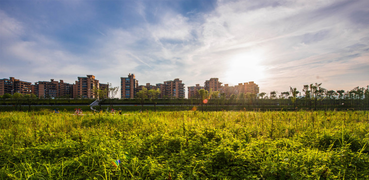 长沙湘江江滩公园-27-Marshland-Park-along-Xiangjiang-River-Changsha-by-LA-Design