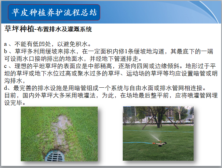 草坪种植-布置排水及灌溉系统