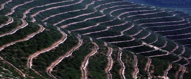 防洪治河工程措施