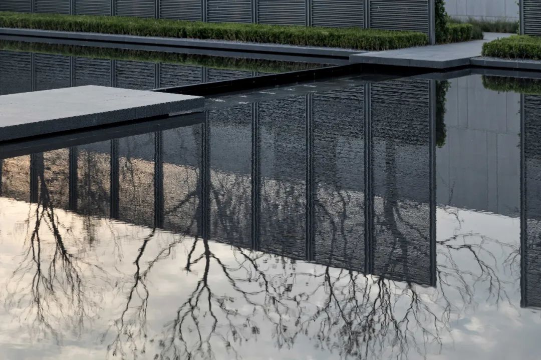 ▼在阳光的照耀下,映射在墙面上的婀娜树影