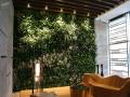 植物墙与装饰元素和框架的结合