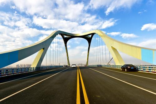 公路工程代建管理资料下载-道路桥梁配套工程代建管理规划（93页）