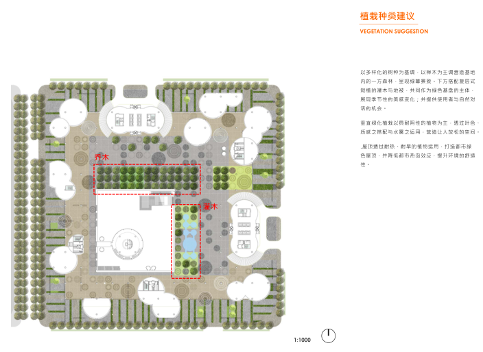 上海金桥高层办公楼及配套商业中标方案文本-植栽种类建议