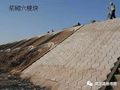 建议收藏！路基护坡标准化施工手册