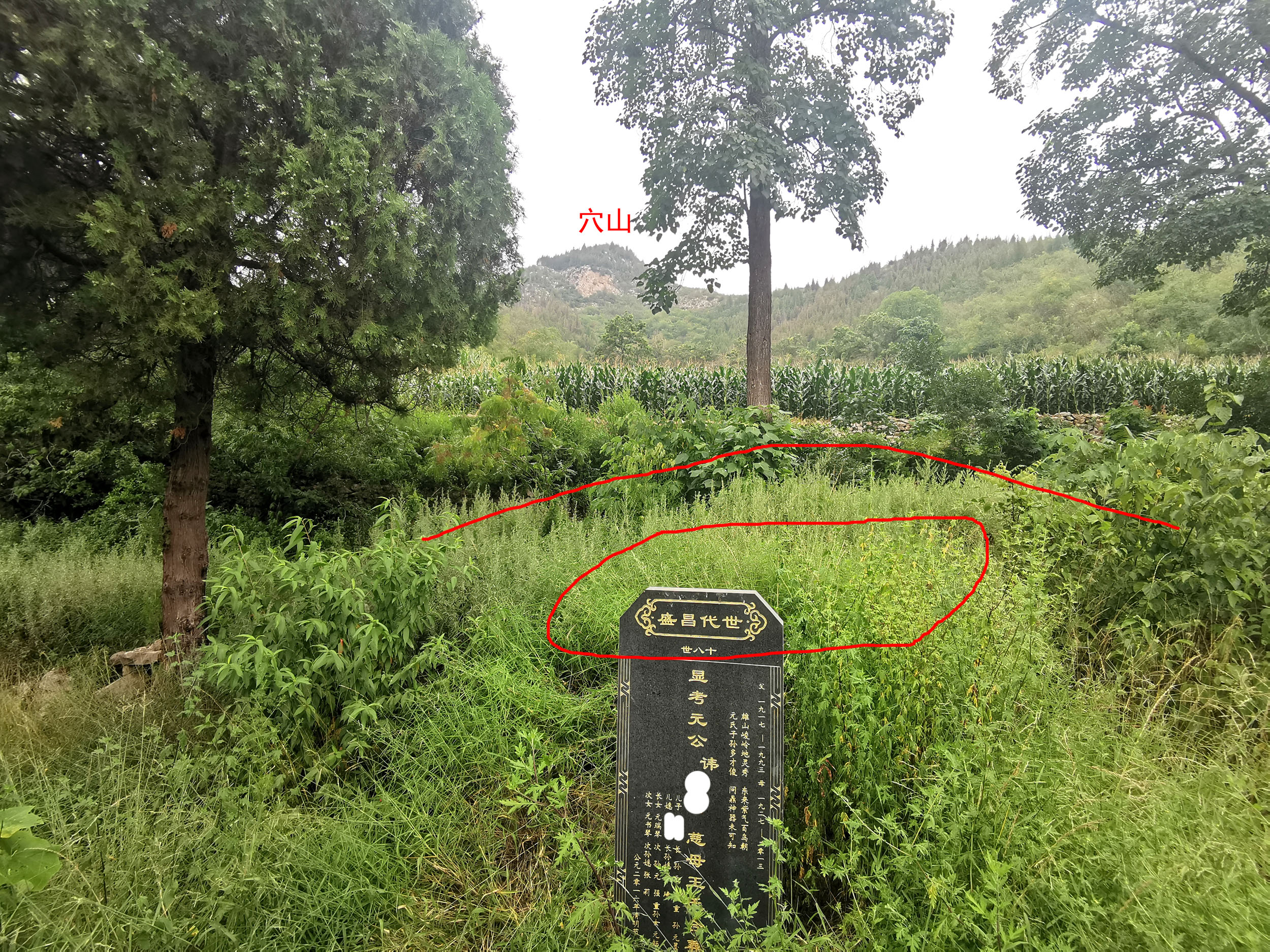 陈益峰:仙人大坐形,元氏五品祖坟-建筑风水-筑龙建筑设计论坛