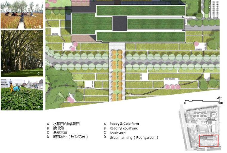 [江苏]知名国际大学中国昆山校区景观设计-农业景观区