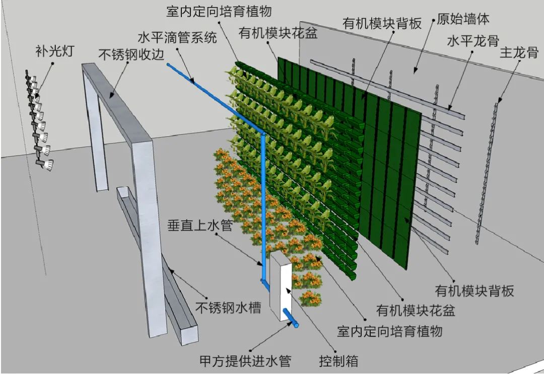 墙面绿化构造图片