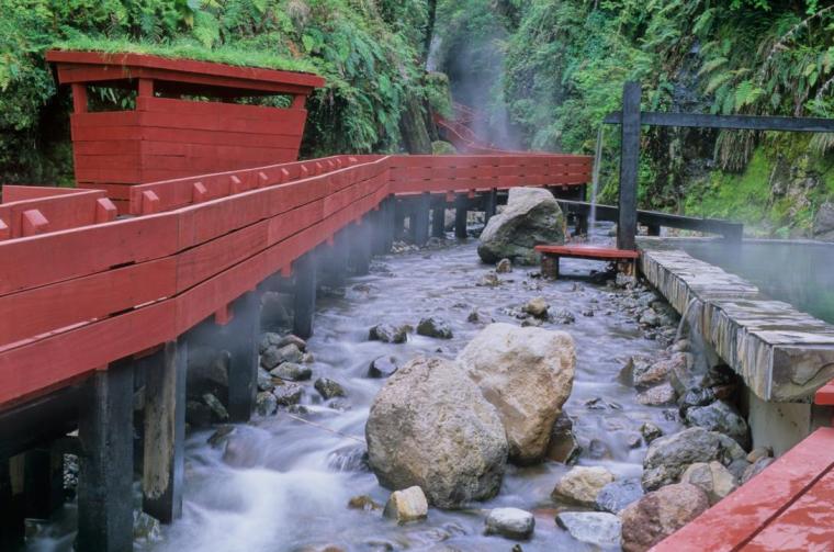智利国家森林公园泉浴景观栈道-20200622191035995