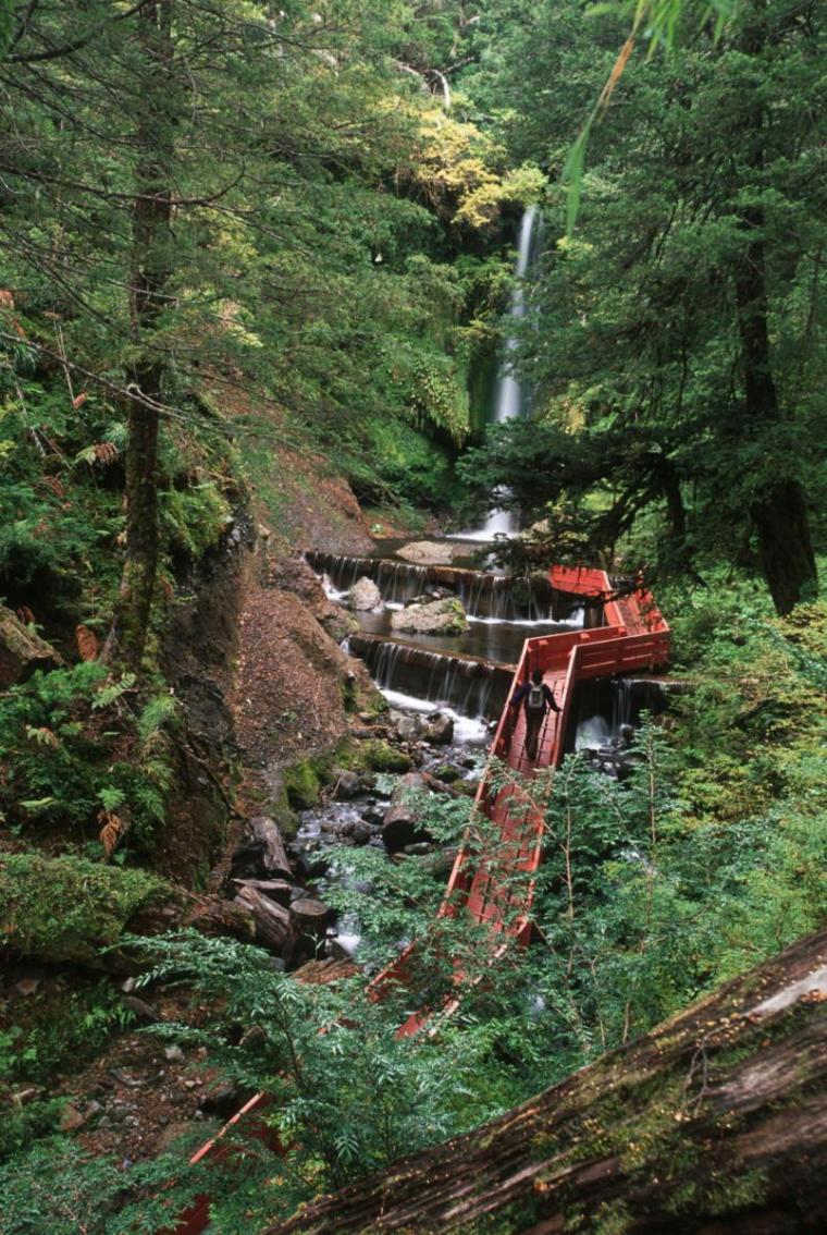 智利国家森林公园泉浴景观栈道-20200622183330389