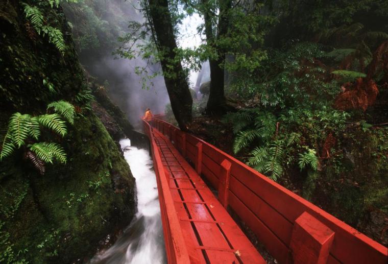 智利国家森林公园泉浴景观栈道-20200622183357798