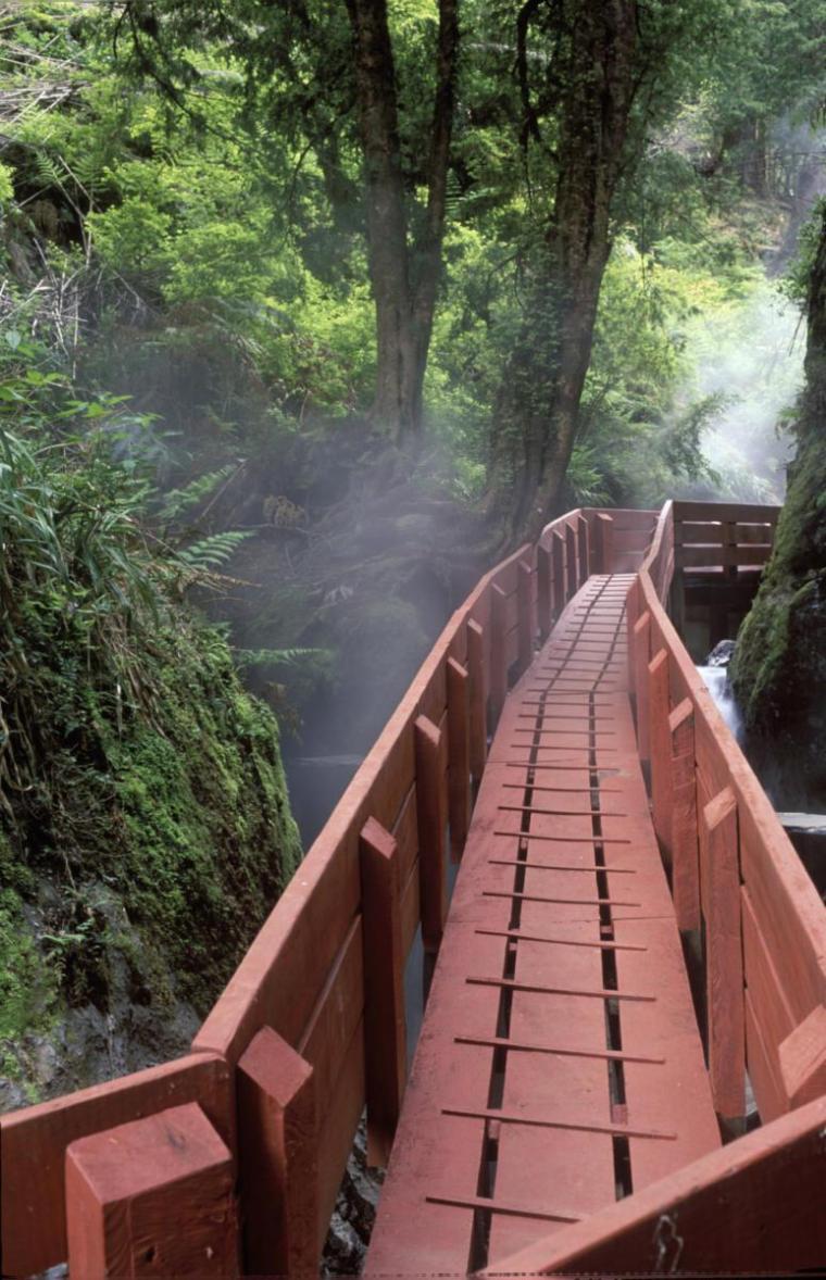 智利国家森林公园泉浴景观栈道-20200622185818134
