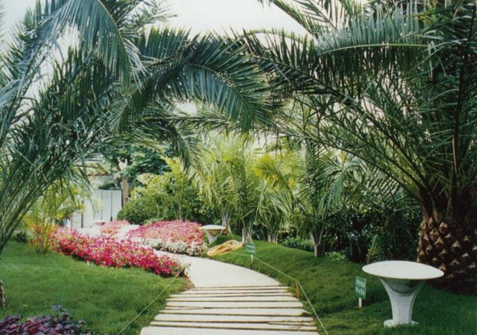 园林道路植物景观设计方法(图片较多)