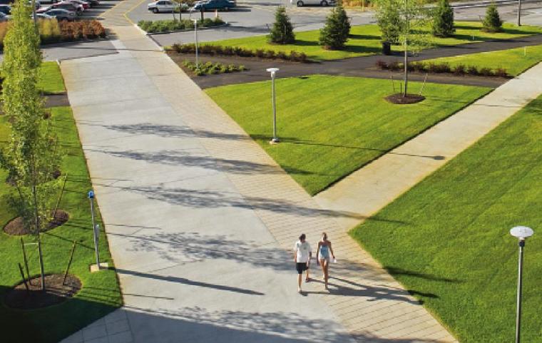 草坪景观效果图