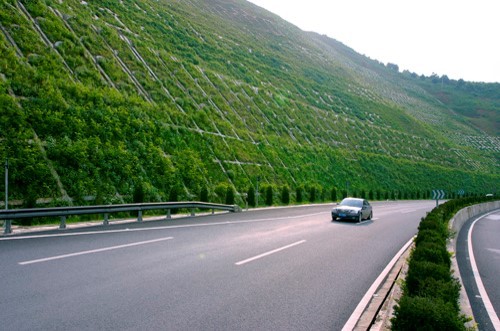 道路周围景观设计资料下载-道路景观设计的任务、程序与要求