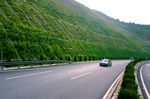 道路坡度规范要求资料下载-道路景观设计的任务、程序与要求