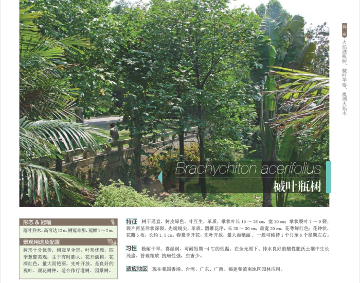 广东景观植物配置资料下载-​景观设计植物配置解析材料手册
