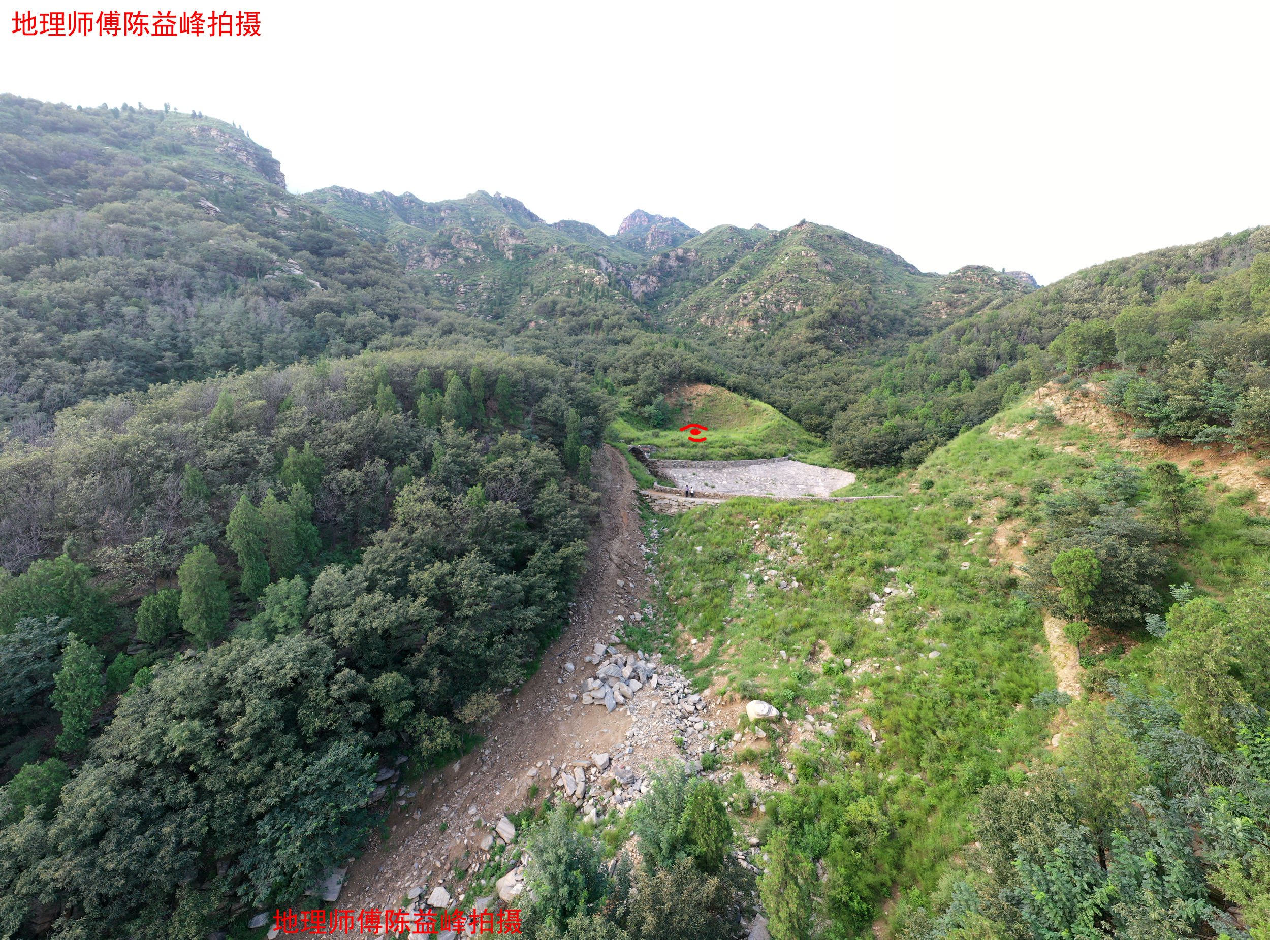 飞鹰打蛇风水图图片