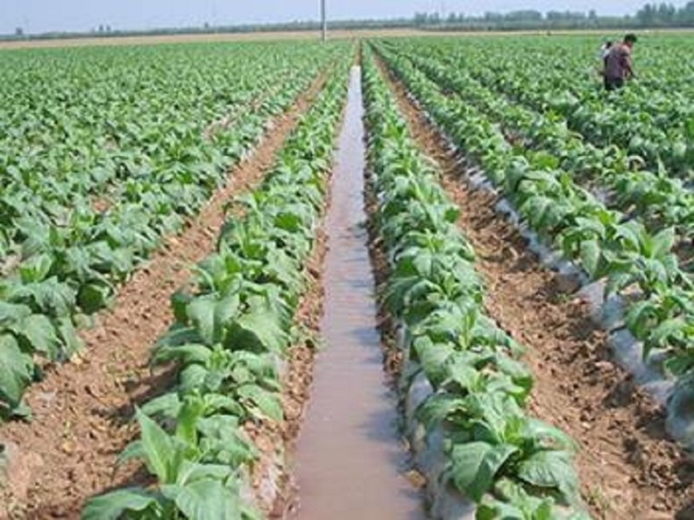 农田水利节点图资料下载-农田水利土壤灌溉技术