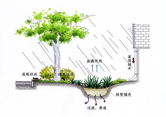 人口老龄化城市设计资料下载-雨水花园如何设计？看这里