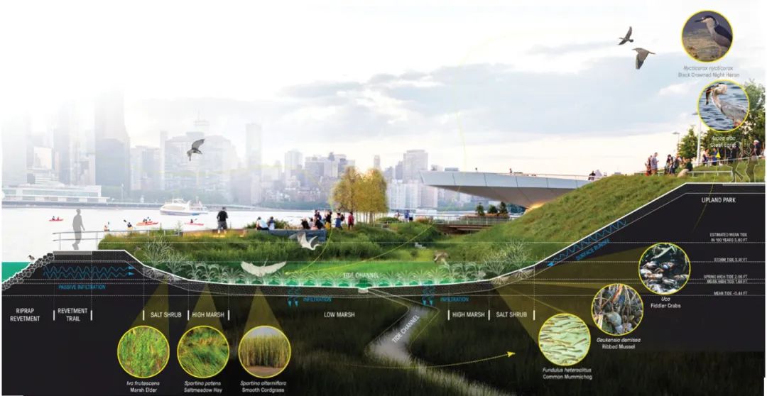 [分享]景观园林▎滨水景观之设计案例解析