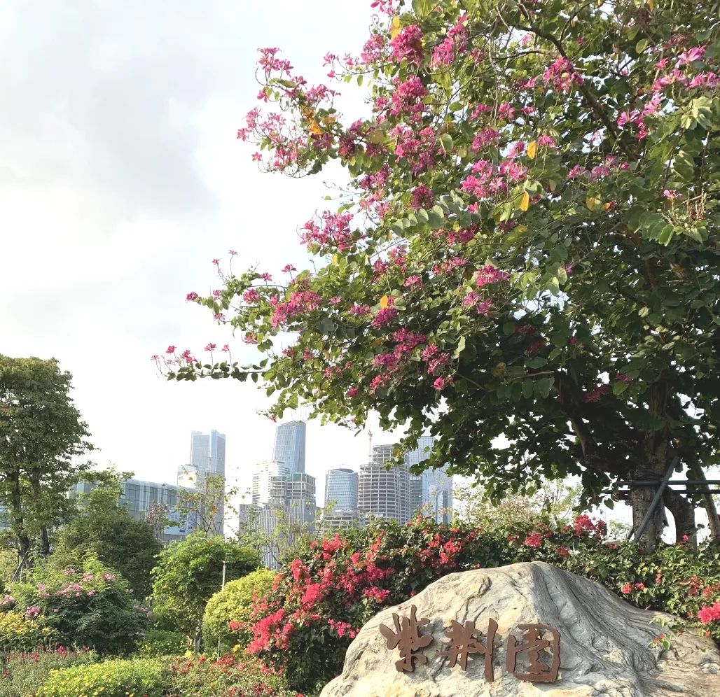 [分享]你夢想過擁有一座怎樣的花園?|前海紫荊園