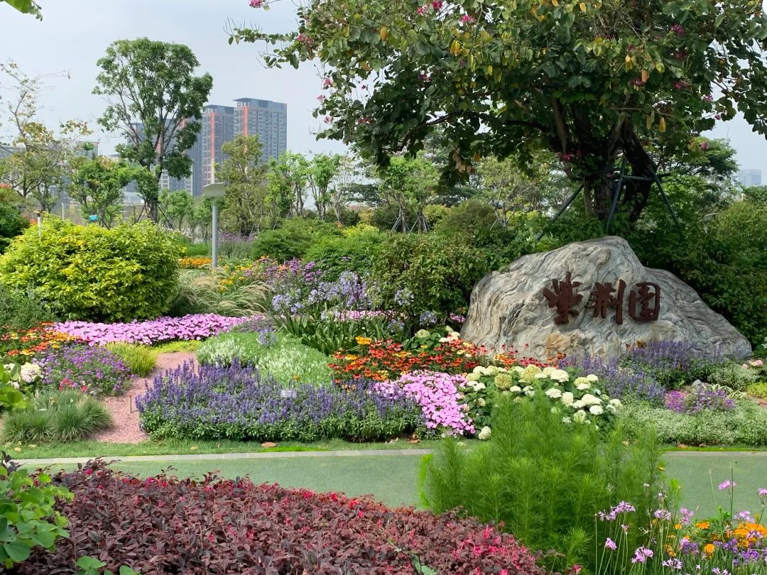[分享]你梦想过拥有一座怎样的花园?|前海紫荆园