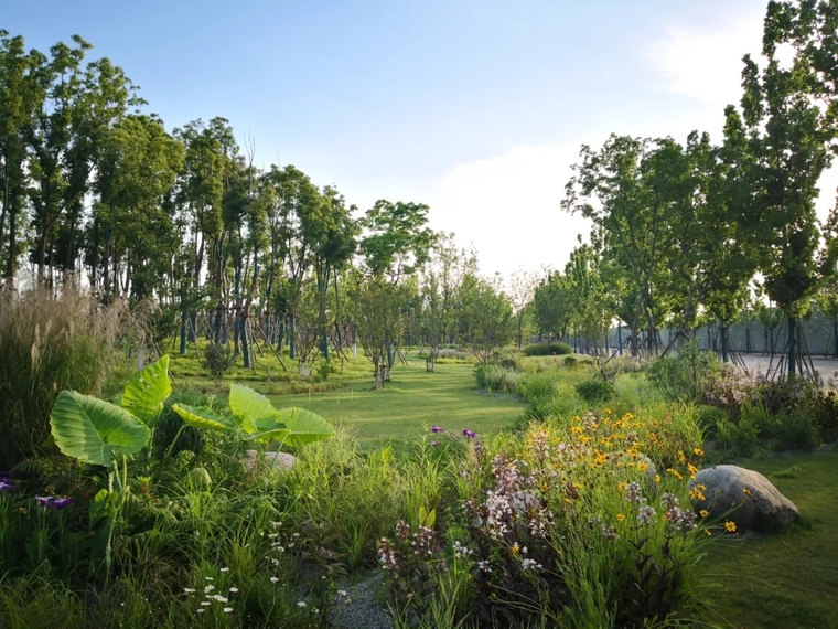 南京生态科技岛滨江风光带夹江侧南段景观