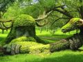 景观绿雕、植物雕塑设计！