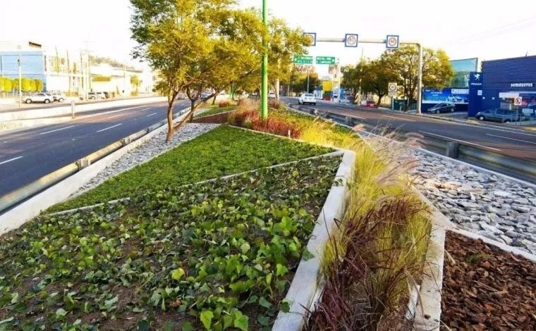 干货 | 道路景观设计分享_32