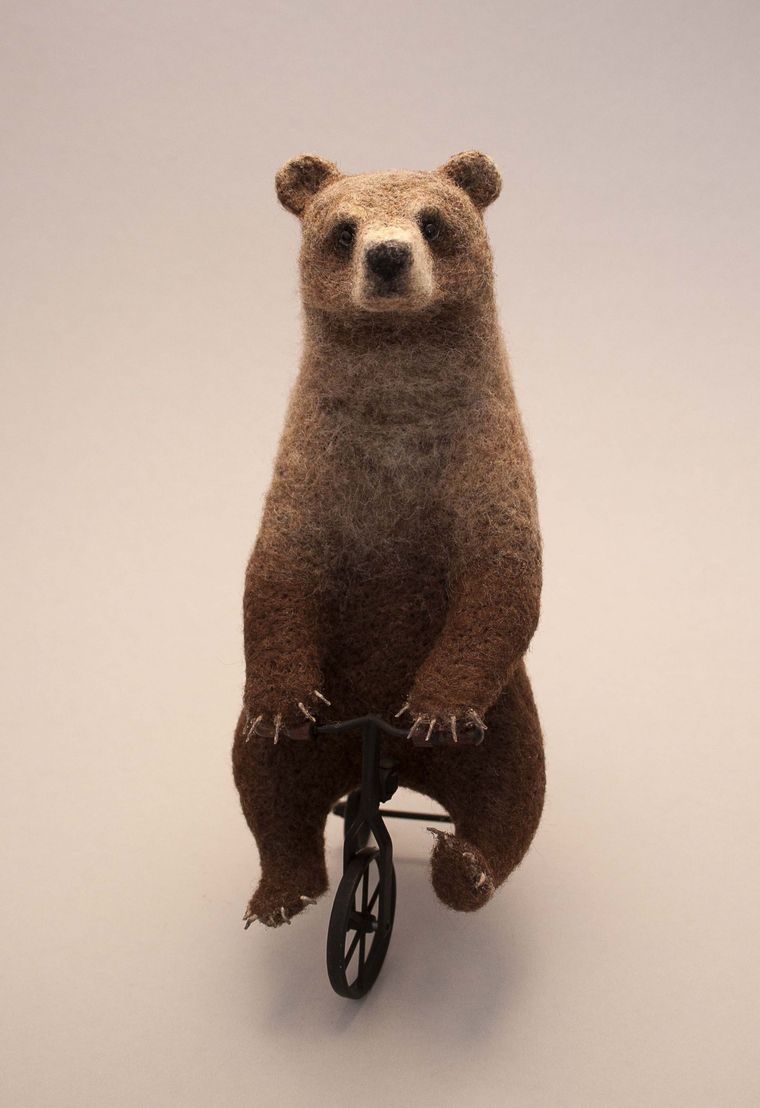 可爱的针刺毡动物