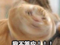 你愿意永远做资料员吗？