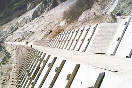 种草防护:适用于边坡稳定,坡面受雨水冲刷轻微,且易于草类生长的路堤