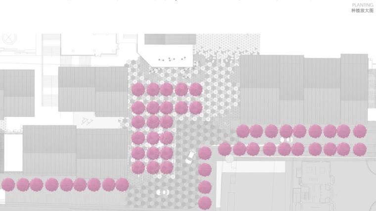 [江苏]苏州仓街商业街区广场景观方案文本-种植放大图1