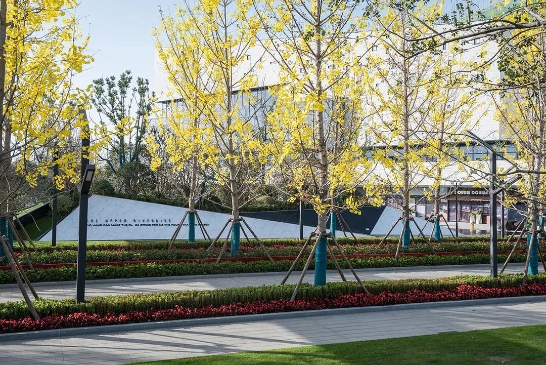 [分享]树阵景观,居然还能这么美!