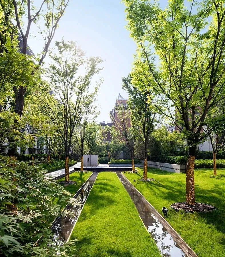 [分享]树阵景观,居然还能这么美!