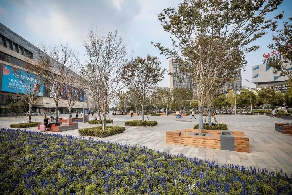 [分享]树阵景观,居然还能这么美!