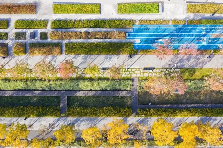 [分享]树阵景观,居然还能这么美!