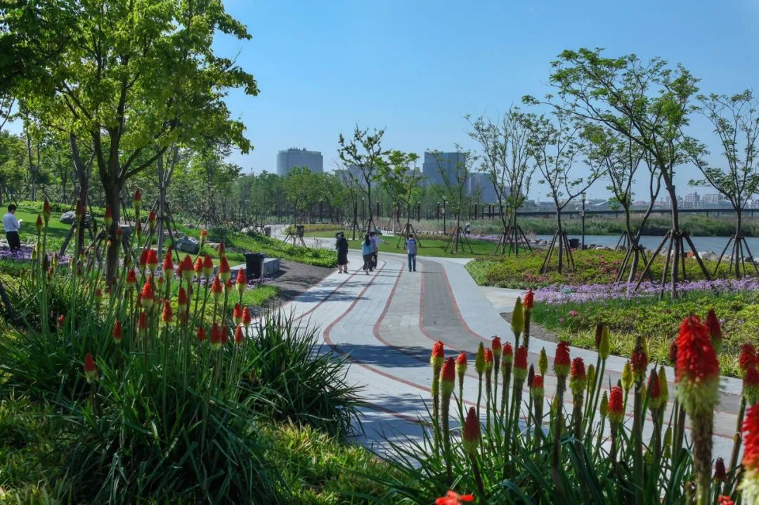 滨水公园,案例参考-景观设计-筑龙园林景观论坛