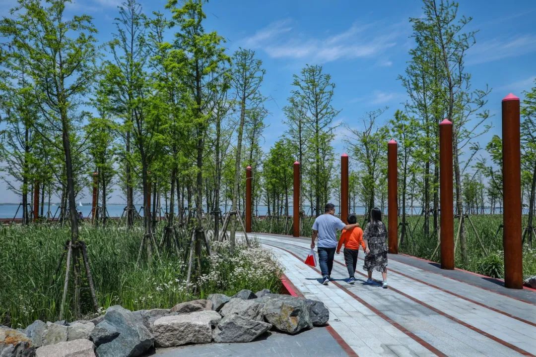 滨水公园,案例参考-景观设计-筑龙园林景观论坛