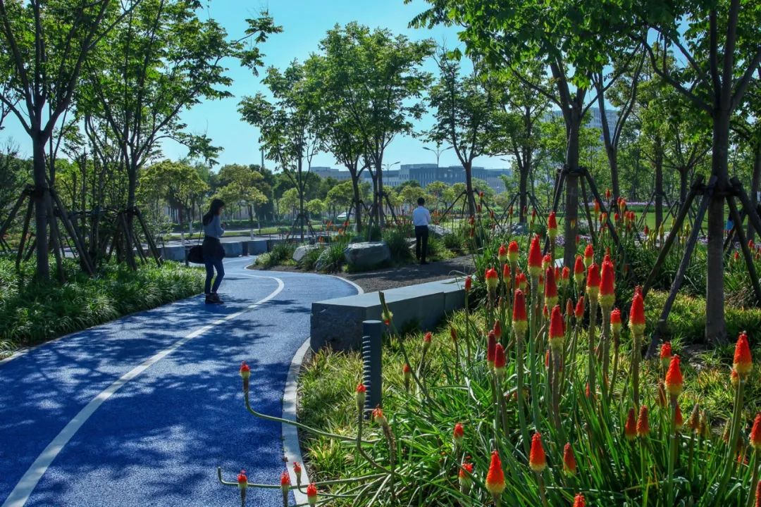 滨水公园,案例参考-景观设计-筑龙园林景观论坛